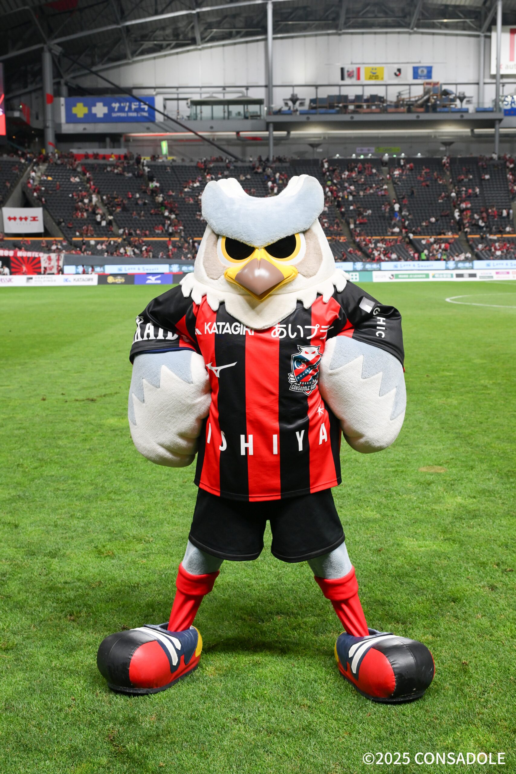 1/24 北海道コンサドーレ札幌「ドーレくん」、「コンサドールズ 